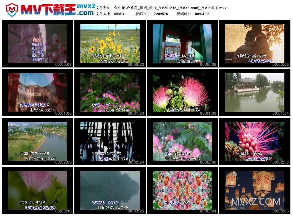 张生艳-合欢花_国语_流行_MB302515